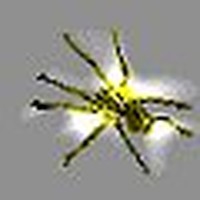 Picture for song 'Oxypidae' by artist 'Brandy of the Damned'