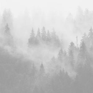 Picture for song 'FOREST / YUNG LEAN TYPE BEAT' by artist 'CaronB'