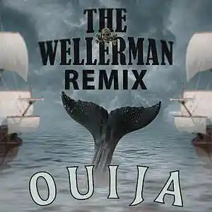Picture for song 'The Wellerman (Remix)' by artist 'DJ Ouija'