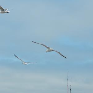 Picture for song 'A Wealth of Empty Pockets' by artist 'Ed Drury'