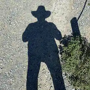 Picture for song 'Lost Fortune Highway' by artist 'Fanques and The Amp Farm'