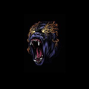 Picture for song 'Apologies (+Hook) [1]' by artist 'Beats with Hooks.'