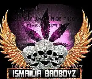 cover pic