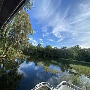 Picture for song 'Mr Cleanslate' by artist 'JimRoss'