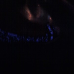 Picture for song 'Grave Flowers' by artist 'JimRoss'