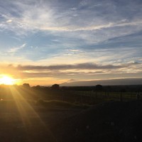 Picture for song 'It's the Dead of Night' by artist 'Joe Aldworth'