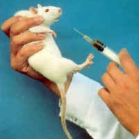 Picture for song 'Research Causes Cancer in Rats' by artist 'Joe Wrabek (again)'