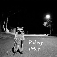 Picture for song 'lubeey' by artist 'POKELY PRICE'