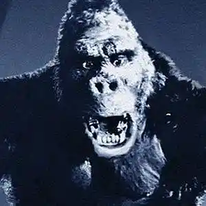 Picture for song 'King Kong March' by artist 'Previous Signs of Decay'