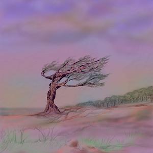 Picture for song 'The unmaking' by artist 'ranxid'