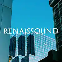 Picture for song 'Final Level' by artist 'Renaissound'