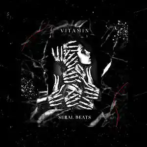 Picture for song 'Vitamin' by artist 'Seral Beats'