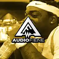 Picture for song 'Hustlin (Kodak Black Type)' by artist 'Audio Fiene'