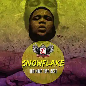 Picture for song 'SNOWFLAKE (Rod Wave type beat instrumental)' by artist 'Chorderline'