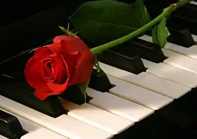 Picture for song 'My Valentine' by artist 'Daniel Cruz Beats'