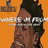 Picture for song 'Where Im From (Kodak Black Type Beat)' by artist 'Exclusive DJ Beatz'