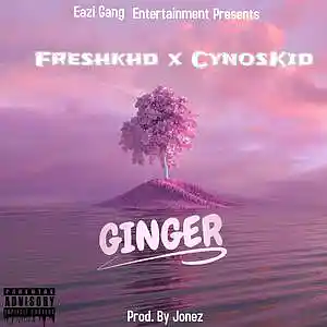 Picture for song 'Ginger Ft cynoskid' by artist 'FRESHKHDD'