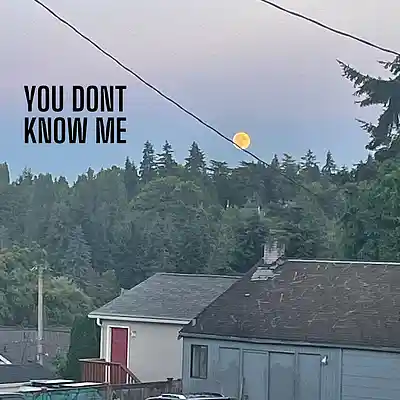 Picture for song 'You Dont Know Me' by artist 'jacob fridley'