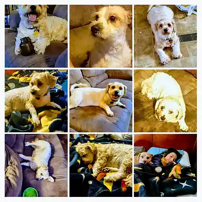 Picture for song 'Relaxation Vibes' by artist 'Jason Bibee'