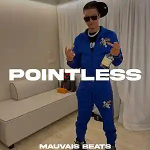 Picture for song 'POINTLESS' by artist 'MAUVAIS BEATS'