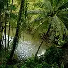 Picture for song 'El NiZmOs beatz - Love in Da jungle' by artist 'nizmobeatz'