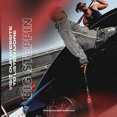 Picture for song 'BIG STEPPIN'' by artist 'No30music'