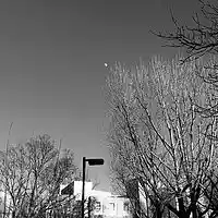 Picture for song 'Moonlight' by artist 'Rasam'