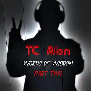 Picture for song 'Vision' by artist 'TC Alan'