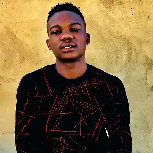 Picture for song 'Spaceship_(Afro_tech)' by artist 'Vigor Season SA'