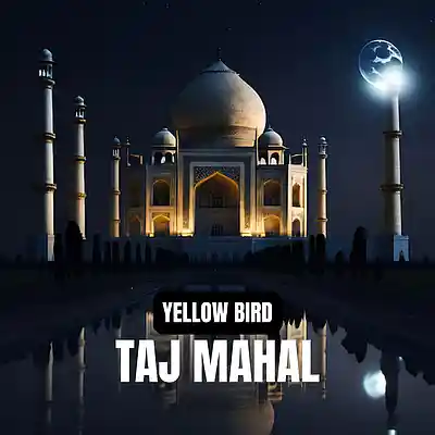 Picture for song 'Beat 2305 Slap House (Taj Mahal)' by artist 'Yellow Bird'