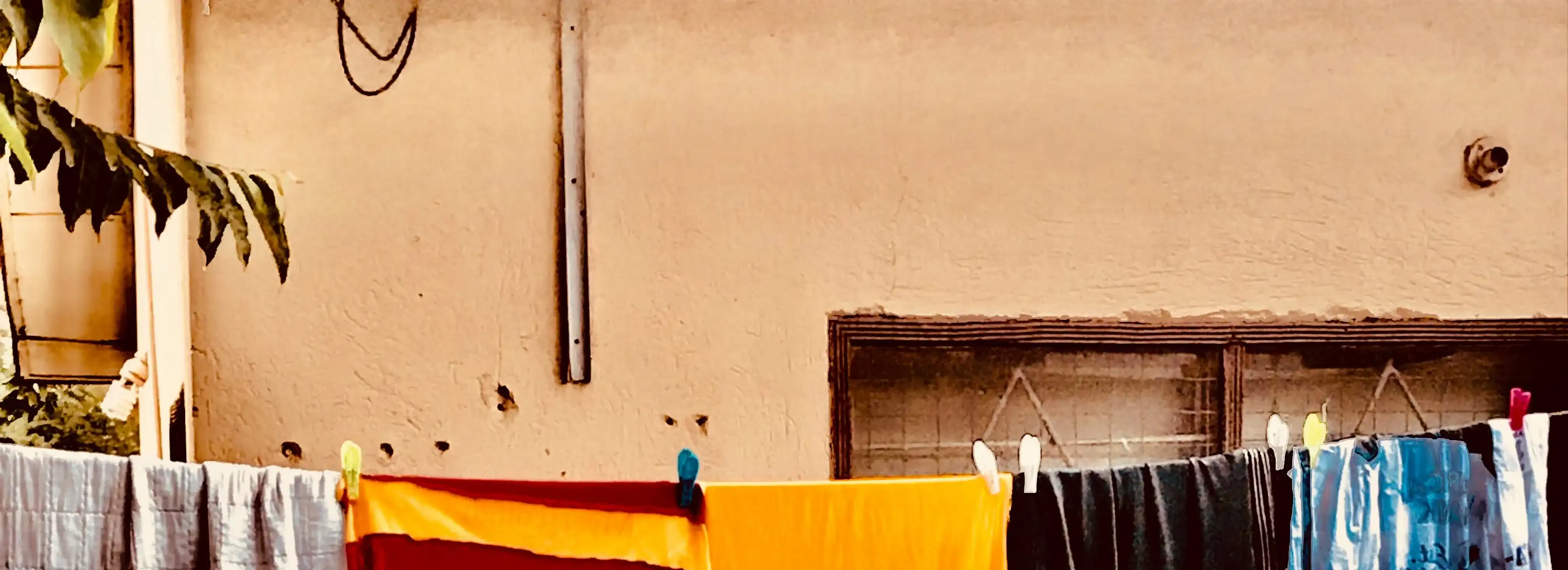 cover pic