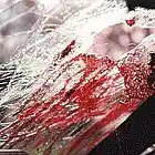 Picture for song 'Smash' by artist 'Bizarre Noir'