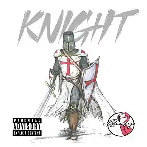 Picture for song 'Knight - FlowmingoBeats' by artist 'FlowmingoBeats'