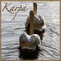 Picture for song 'The Return' by artist 'Jaq Karpa'