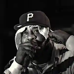 Picture for song 'Boombap - Sean Price Type Beat' by artist 'Killateria'