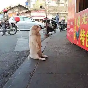 Picture for song 'Sample 10' by artist 'P-Nasty Beatz'