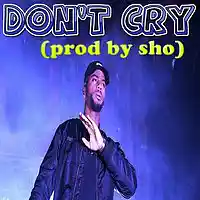 Picture for song 'Don't Cry (Buy 1 Get 1 FREE) ' by artist 'Produced By Sho'