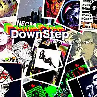 Picture for song 'DownStep' by artist 'Turtle Necromancer'