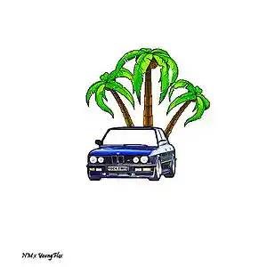 Picture for song 'NM x YoungFlex BMW (Lil Baby x Metro Booming)' by artist 'INS4T'