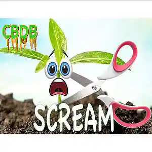 Picture for song 'Scream' by artist 'DBCB'
