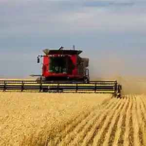 Picture for song 'AIASandroid' by artist 'Ozostomia2'