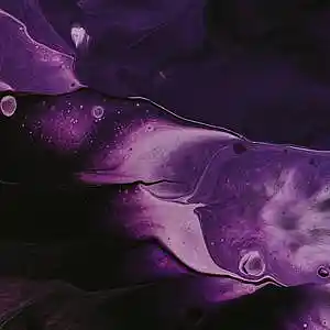 Picture for song 'Purple' by artist 'Prod.ntr'