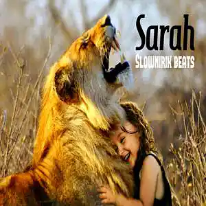 Picture for song 'Sarah' by artist 'Slownirik'