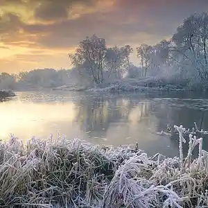 Picture for song 'MAGICAL ICE DISPLAY' by artist 'tamsnumber4'