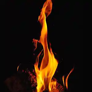 Picture for song 'modern feel' by artist 'Tay-Kanic Productions'