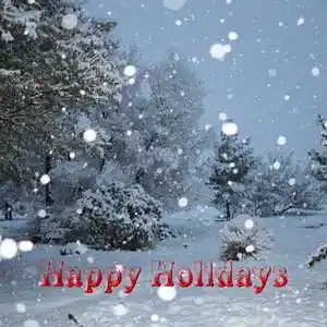 Picture for song 'A Southwest Christmas Night' by artist 'Vern Batty'