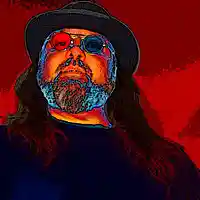 Picture for song 'In the Queen's Absence (live)' by artist 'Zed Salt'