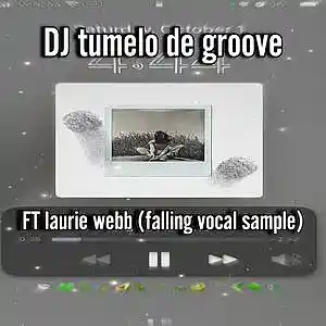 Picture for song 'dj tumelo de groove ft Laurie webb(falling vocal s' by artist 'Dj tumelo de groove'