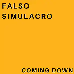 Picture for song 'Coming Down' by artist 'Falso Simulacro'