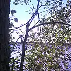 Picture for song 'Loving You Is Just A Memory' by artist 'Neil and Geoff'